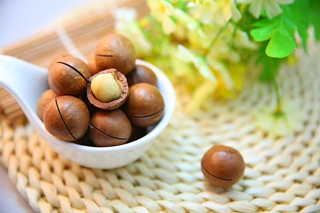 makadamové orechy v škrupine naložené v bielej keramickej miske